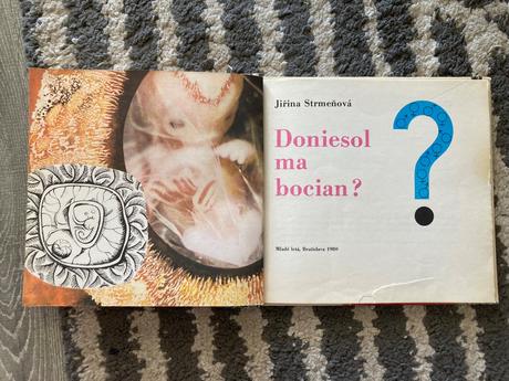 Doniesol ma bocian (1980),