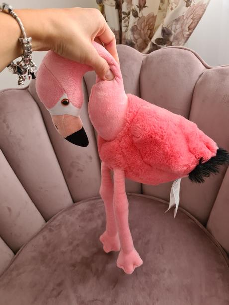 Plameniak plyšový,