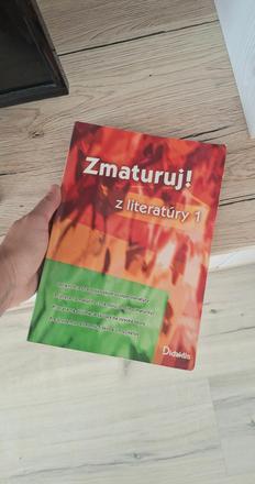 Zmaturuj z literatúry 1,