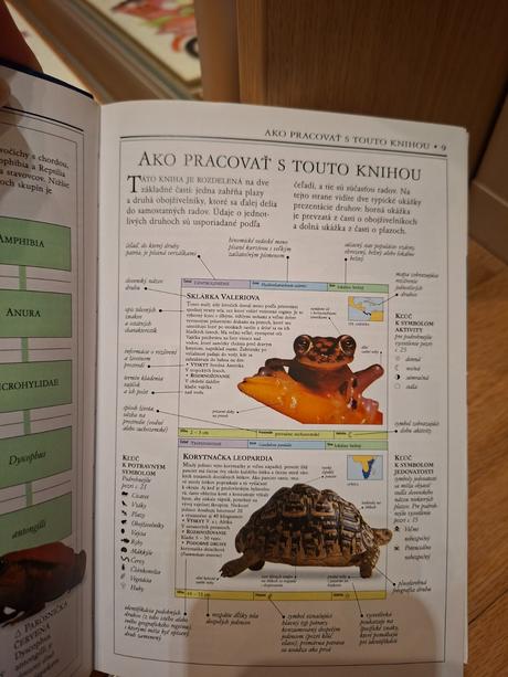 Plazy a obojživelníky  príroda v kocke, 