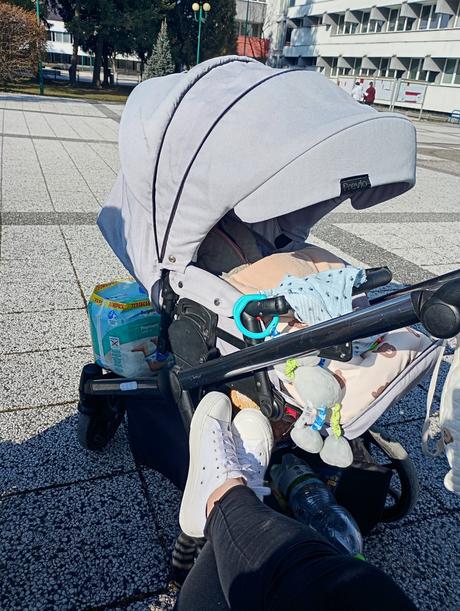 Camarelo previo, camarelo,camarelo previo