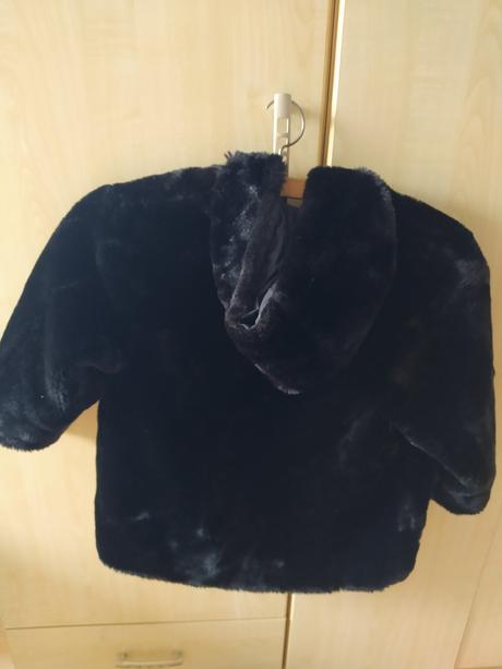 Bundicks, palomino,116