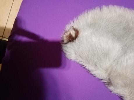 Kožušinka na kabat,