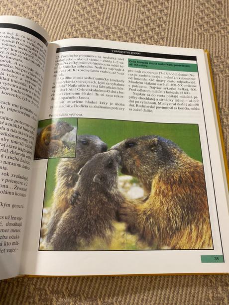 1000 plus 1 slovenských naj švihran ladislav,