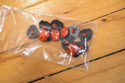 Detské gombíky lienky,