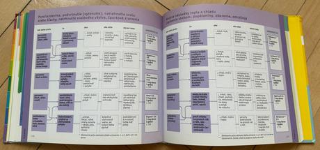 Homeopatia poradca pri samoliečbe homeopati.liekmi,