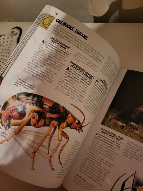 Kniha 1000 divov prírody, 