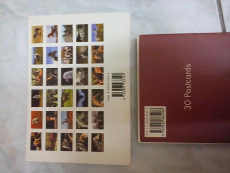 Pohľadnice s koňmi knižka, 