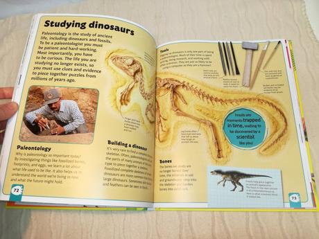 Dk dinosaur a to z nsp20,