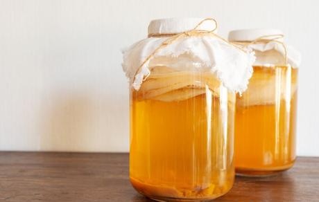 Kombucha - nálev, huba, návod, 