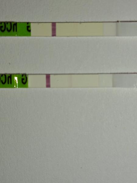 Podarilo sa ,alebo nie