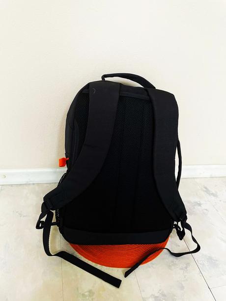 Priestranný veľký rupsak,