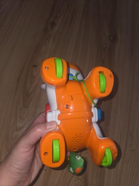 Hrací koník,