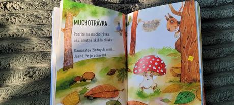 Kniha čáry-máry fuk,