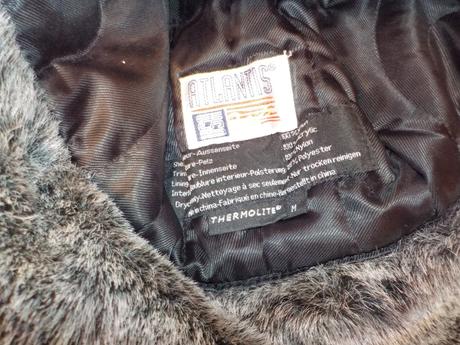 Baranica polar atlantis, 54