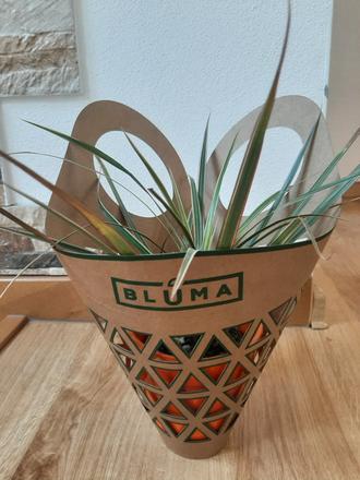 Papierové obaly na kvety v kvetináči.,