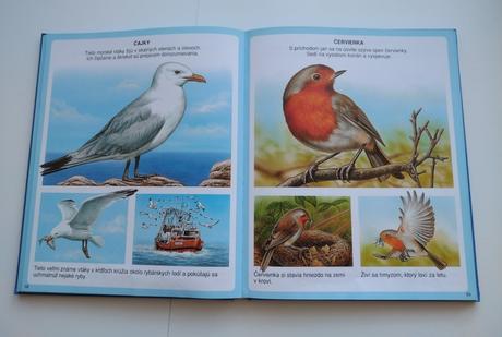 Nové obrázky zvierat, 