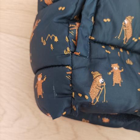 Vesticka mango, mango,98