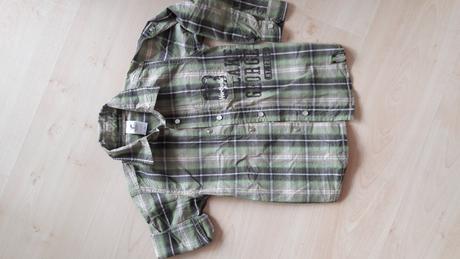 Kosela, palomino,110