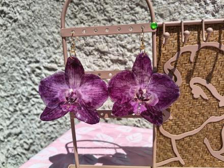 Náušnice z orchideí, 
