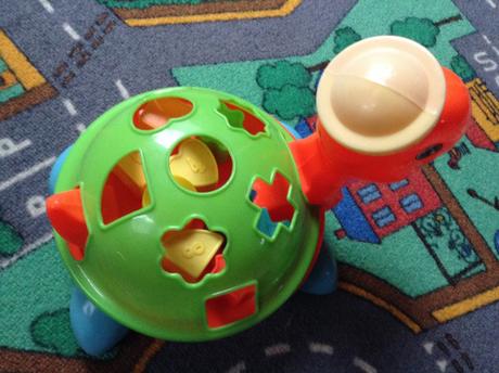 Korytnačka - tvary, 