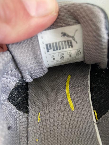 Puma sede 25, puma,25