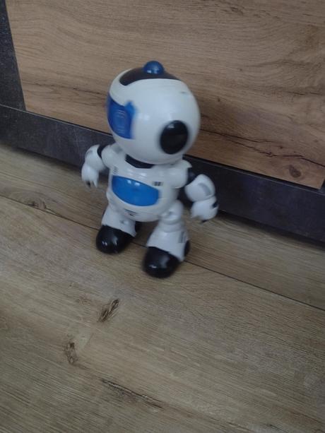 Interaktívny robot, 