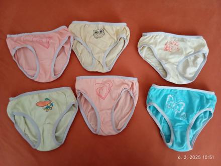 Nohavičky, slovenka,110