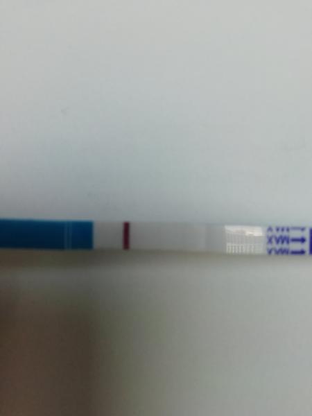 Moje skúsenosti s Dr. Max testom