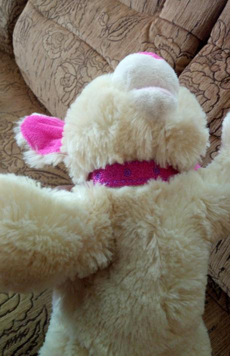 Roztomilé psíča s obojkom,