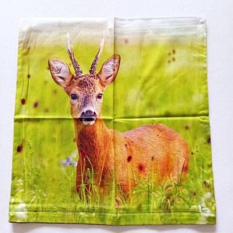 Obliečka na vankúšik, šírka (cm): 40,dĺžka (cm): 40