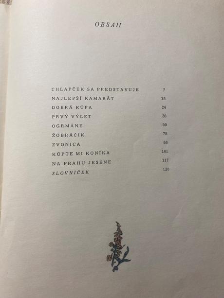Chlapčekovo leto mária rázusová martáková od 1956,