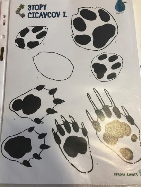 Kluc na urcovanie rastlin a zivocichov, 