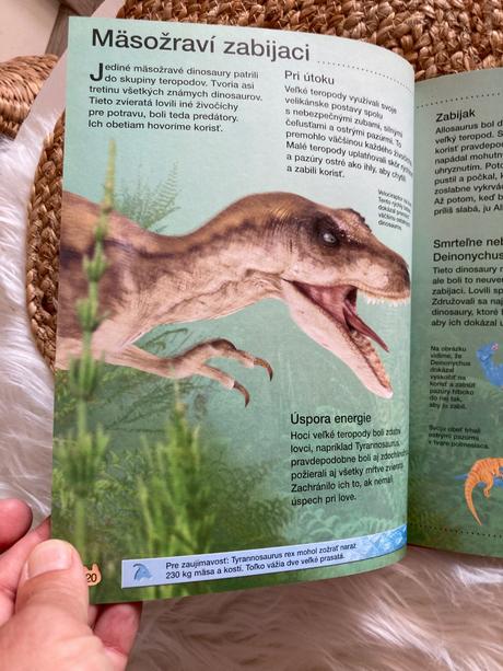 Dinosaury z edície objavujte s nami (2003),
