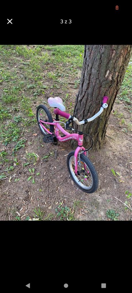 Dievčenský bicykel, 18