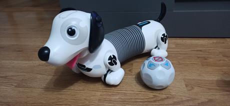 Robotické psy, 