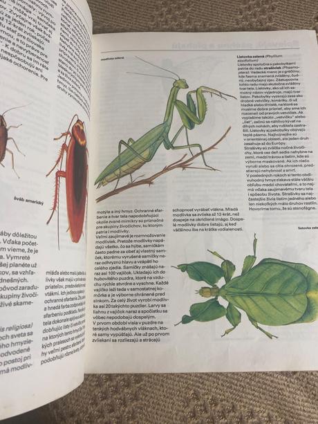 Pestrá príroda luděk j. luděk jindřich dobroruka,,