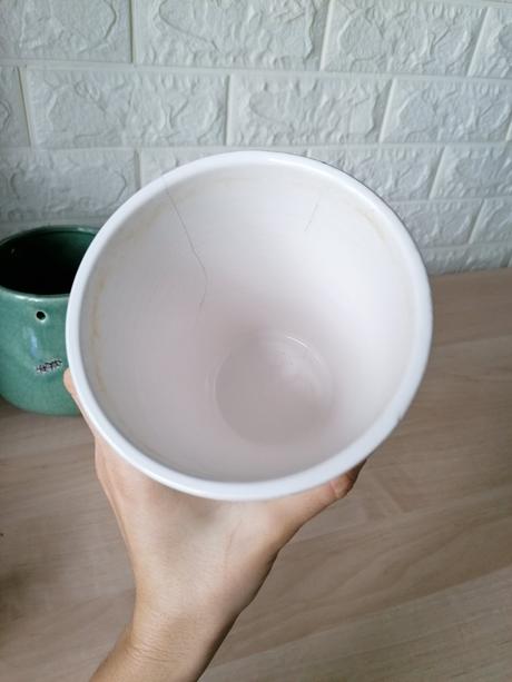 Kvetináč / kochlík na izbové rastliny, 