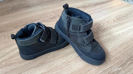 Lasocki - mierne zateplene, lasocki,29