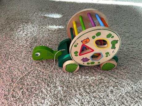 Korytnacka na tahanie s vkladackou,