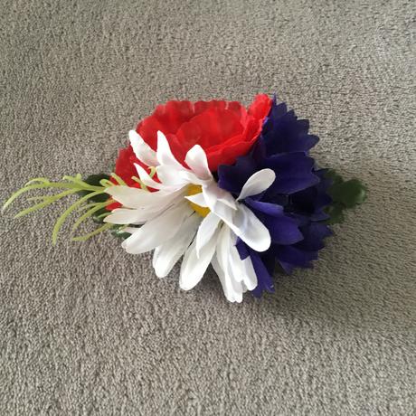 Hrebienok do vlasov trikolóra, 