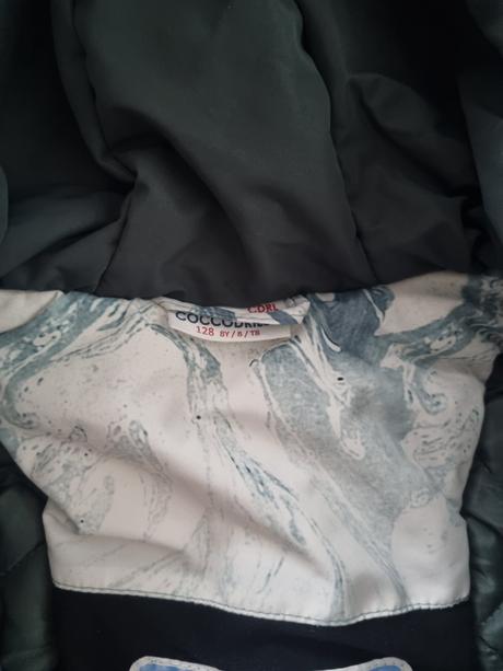 Coccodrillo bunda, coccodrillo,128