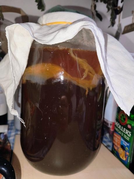 Kombucha,