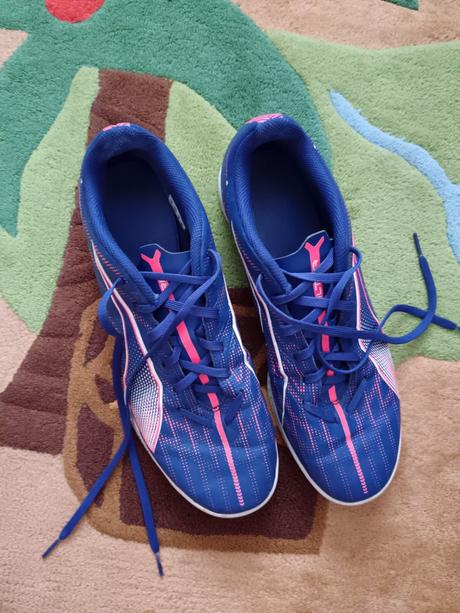 Halovky, puma,42