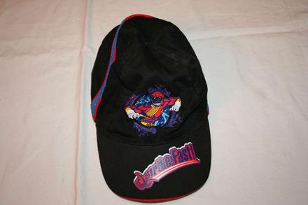 Siltovka, ladybird,110