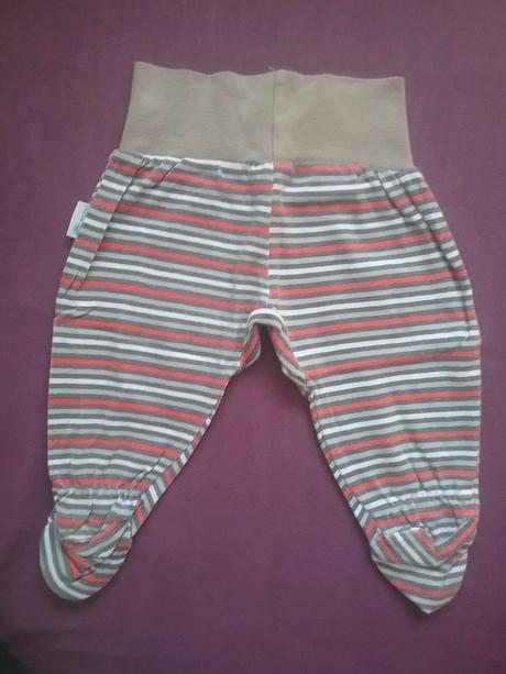 Pasikave polodupky, gmini,62