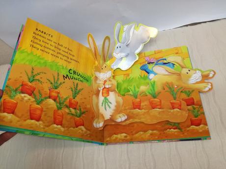 Amazing pop-up fun very funny farm nsu19,