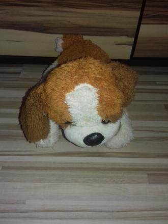 Plyšák psik, 