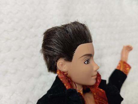 Barbie my scene chlapci ken, 