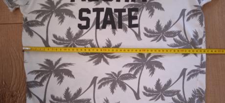 Tričko, terranova,s